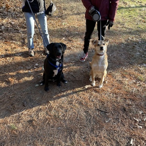 Lawrence Edward Sauer